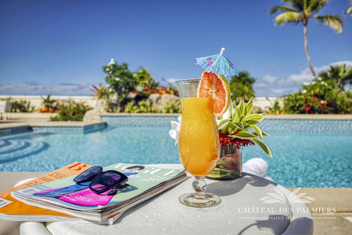 54.Location villa Chateau des Palmiers accés mer Terres Basses Saint Martin